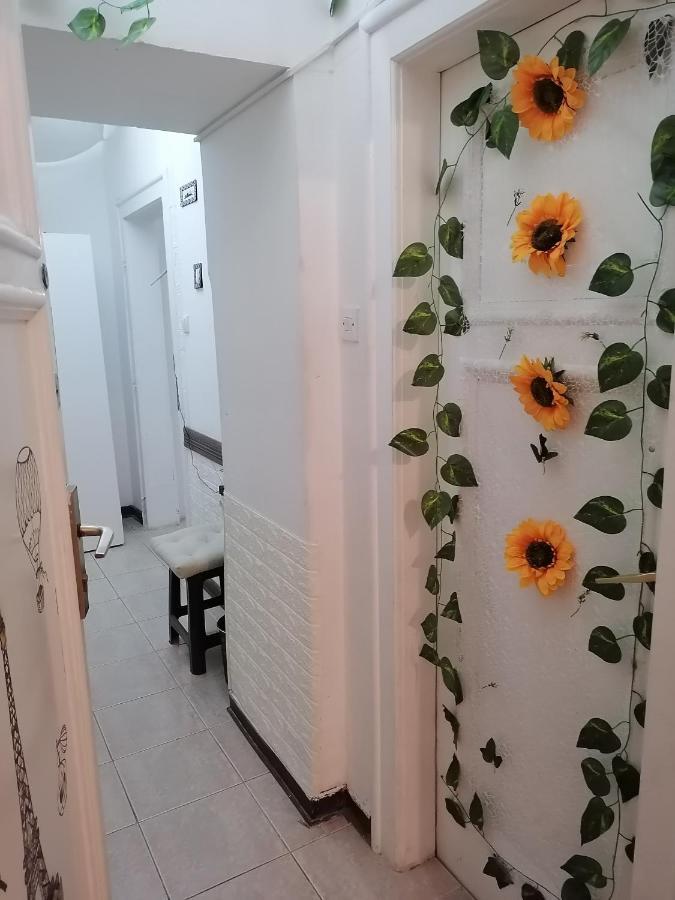Low Cost Apartment Beograd Bagian luar foto
