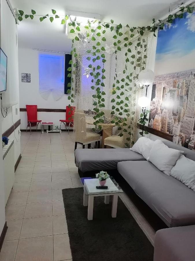 Low Cost Apartment Beograd Bagian luar foto