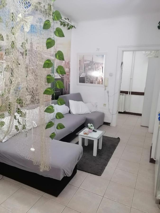 Low Cost Apartment Beograd Bagian luar foto